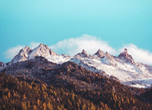 NBL更新社媒分享球迷故事：是十年如一日的陪伴